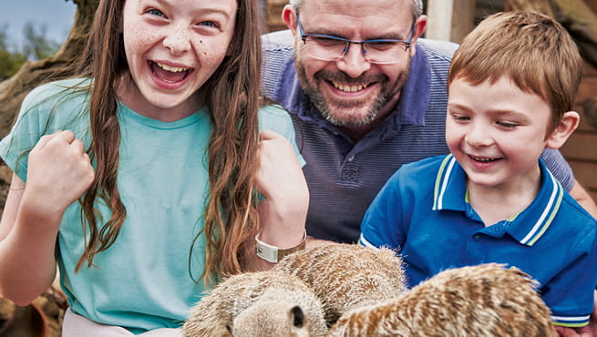 Family with meerkats